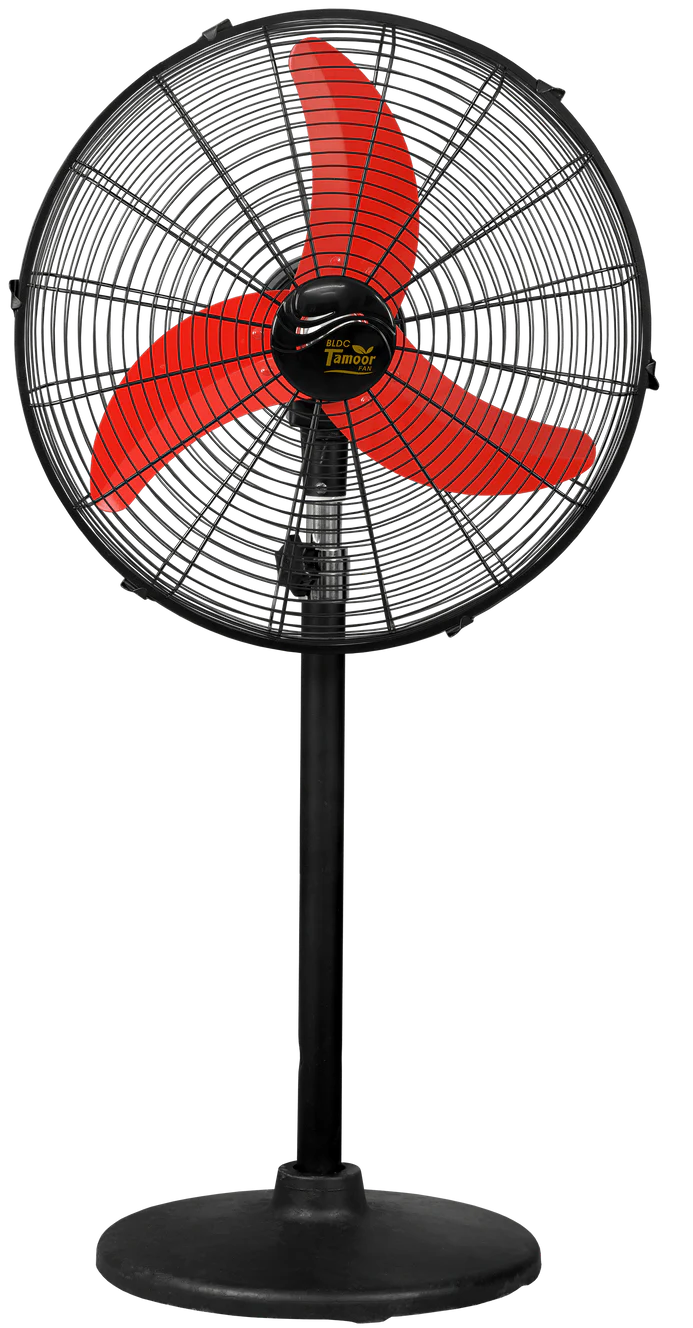 Fan Image 6